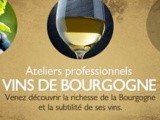 Des ateliers professionnels de dégustation et de connaissances avec les vins de Bourgogne