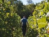 « Entre les Vignes », conversations libres avec des vigneronnes et des vignerons de Bourgogne