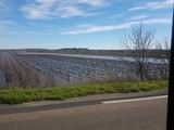 Intempéries dans l’Aude : des vignes les pieds dans l’eau