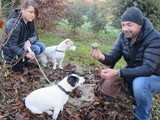 La truffe de Gironde va trouver une bonne place sur les tables de fêtes de fin d’année