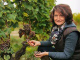 Laure de Lambert Compeyrot devient la nouvelle présidente de la Route des Vins en Graves et Sauternes