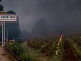 Le blog Côté Châteaux enregistre un record d’audience en donnant la parole aux vignerons sinistrés