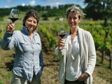 Le château Cheval Blanc plante des centaines d’arbres dans ses vignes légendaires