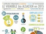 Le vignoble bio en Alsace gagne du terrain : 14,2% du vignoble alsacien en bio en 2015