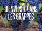 Les grappes, la nouvelle communauté de vignerons et d’amateurs de vin