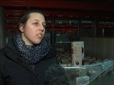 Les jeunes agriculteurs du Gard appellent les consommateurs à ne pas se laisser duper par des étiquetages douteux qui cacheraient des vins espagnols