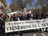 Plusieurs milliers de vignerons en colère dans les rues de Narbonne contre les importations de vins espagnols