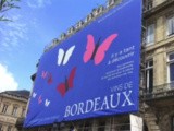 Pour Vinexpo, c’est l’invasion de papillons à Bordeaux