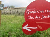 Primeurs à Bordeaux : il y a un certain appétit malgré la crise