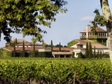 Sur la route des vins de Bordeaux, découvrez châteaux et terroirs avec Bordeaux Tourisme & Congrès