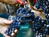 « Vigneron d’un jour, Bordeaux toujours » : le nouveau jeu des Vins de Bordeaux pour vivre un week-end unique chez le vigneron de votre choix