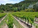 Chambres d'hôte et gîtes chez les vignerons (7) : Côtes-du-Rhône drôme