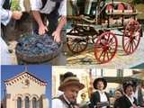 Vendanges en octobre ? Deux événements à Chusclan et à Beaumes de Venise