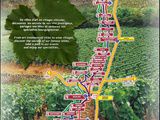 Hospices de Beaune 2011, j-156: Découvrez les routes des vins de Bourgogne
