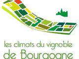 La candidature des climats de Bourgogne à l’Unesco est retenue par la France