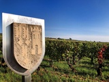 Vidéo: vinification et style des Hospices 2021 par Ludivine Griveau