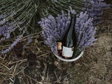 Vins de Loire : Muscadet, Sancerre, Vouvray et Chinon