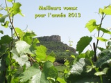 2012 à l'heure des bilans : les vins