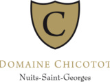 Dégustation au domaine Chicotot à Nuits Saint Georges (21)
