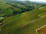 Dégustation au domaine indépendant Adriano, Marco e Vittorio à Alba (Piémont, Italie)