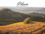 Dégustation au domaine Pelissero à Treiso (Piémont, Italie)
