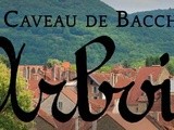 Dégustation chez Lucien Aviet (Caveau de Bacchus) à Montigny les Arsures (39)