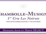 Visite chez Hervé et Anne Sigaut (Chambolle Musigny)