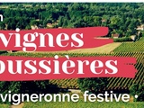 Les vignes Réboussières : 2017, 2018, 2019,…., 2021