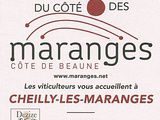 Du Côté de Maranges , rencontre avec les vignerons de Maranges les 7 et 8 avril 2012