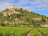 Achat direct | Les vins gorgés de soleil de Provence et de Corse