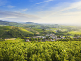 Beaujolais, Mâconnais et Chalonnais, terres de grands vins à prix très sages