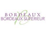Bernard Burtschy et David Cobbold récompensés pour leurs écrits sur Bordeaux