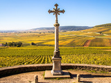 Bourgogne | Entre l’or et le rubis