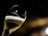 Champagne André Robert : grands chardonnays d’une maison confidentielle au Mesnil-sur-Oger