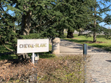 Château Cheval Blanc aux enchères | Dégustation des 2018 et 2020