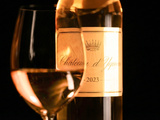 Château d’Yquem : l’immense millésime 2023 arrive sur le marché