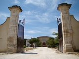 Château de Beaucastel | Un monument incontournable de Châteauneuf
