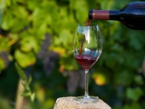Clos Ganda, le “vin de cuisine” produit par une famille Bordelaise