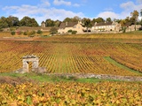 Côte Chalonnaise : l’âge d’or des vins de Givry