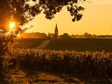 Craquer pour Bordeaux, les 10 (très) bonnes raisons d’iDealwine