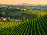 Découvrir l’Italie à travers 10 vins à petits prix