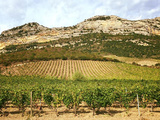 Domaine Antoine Arena, l’ambassadeur des grands vins corses de terroir