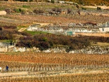 Domaine Bachelet-Ramonet : classicisme à Chassagne-Montrachet