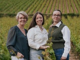 Domaine Dubreuil-Fontaine : à Pernand-Vergelesses, le vin se transmet de mère en filles