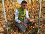 Domaine Lorenzon : des vignes hautes en Côte Chalonnaise