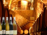 Domaines de La Butte et de La Taille aux Loups : les vins de Jacky Blot au sommet de la Loire
