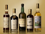 Fine Spirits Auction : Nouveau départ