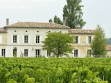 Grand Corbin Despagne et Ampélia, deux incontournables de Bordeaux