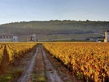 Grands crus de Bourgogne : le Clos de Vougeot, histoire et caractéristiques