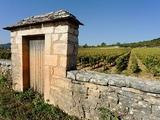 Guide des vins de Bourgogne : qu’est-ce qu’un climat
